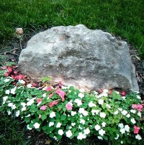 Meet your Posher, Alice